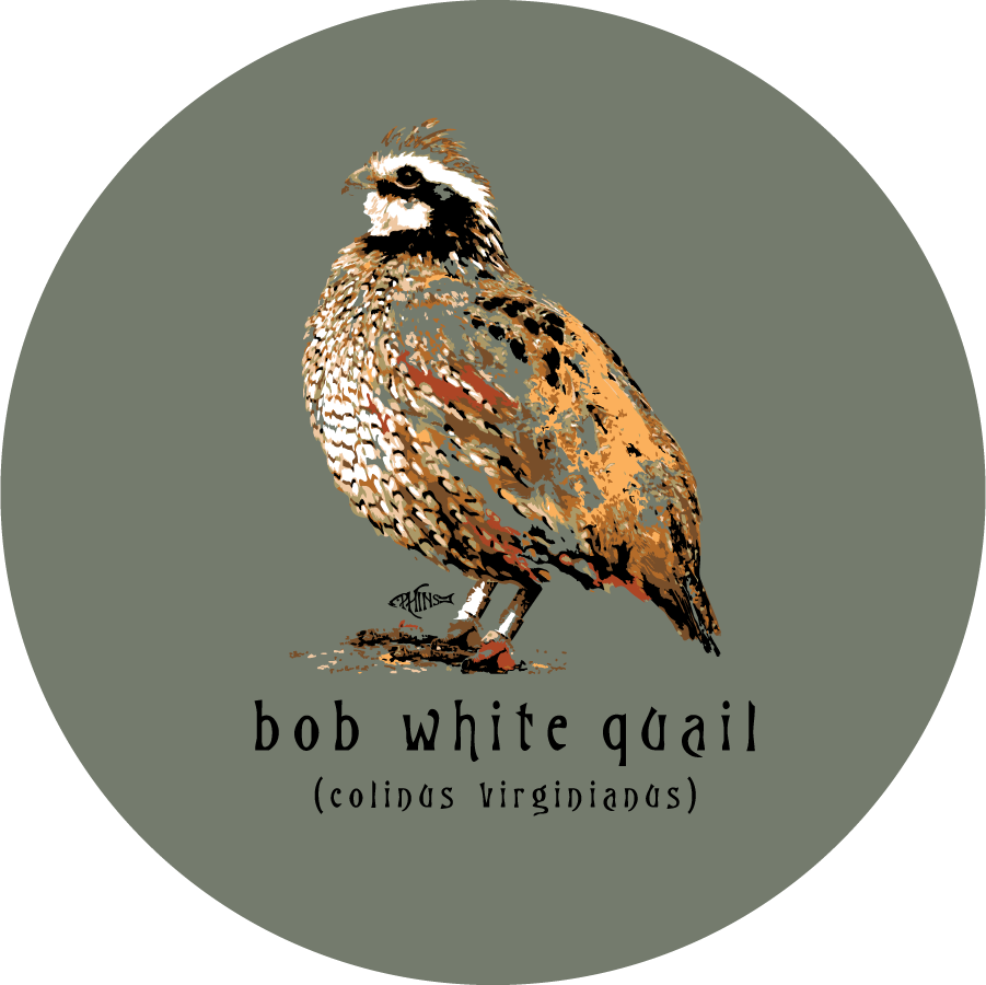 Bob White Quail, Sandstone Car Coaster
