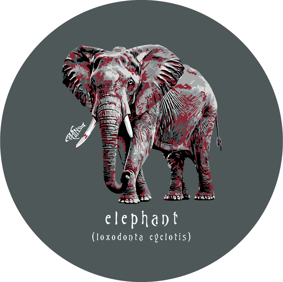 Elephant, Sandstone Car Coaster