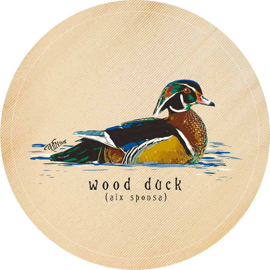 Wood Duck, Sandstone Car Coaster