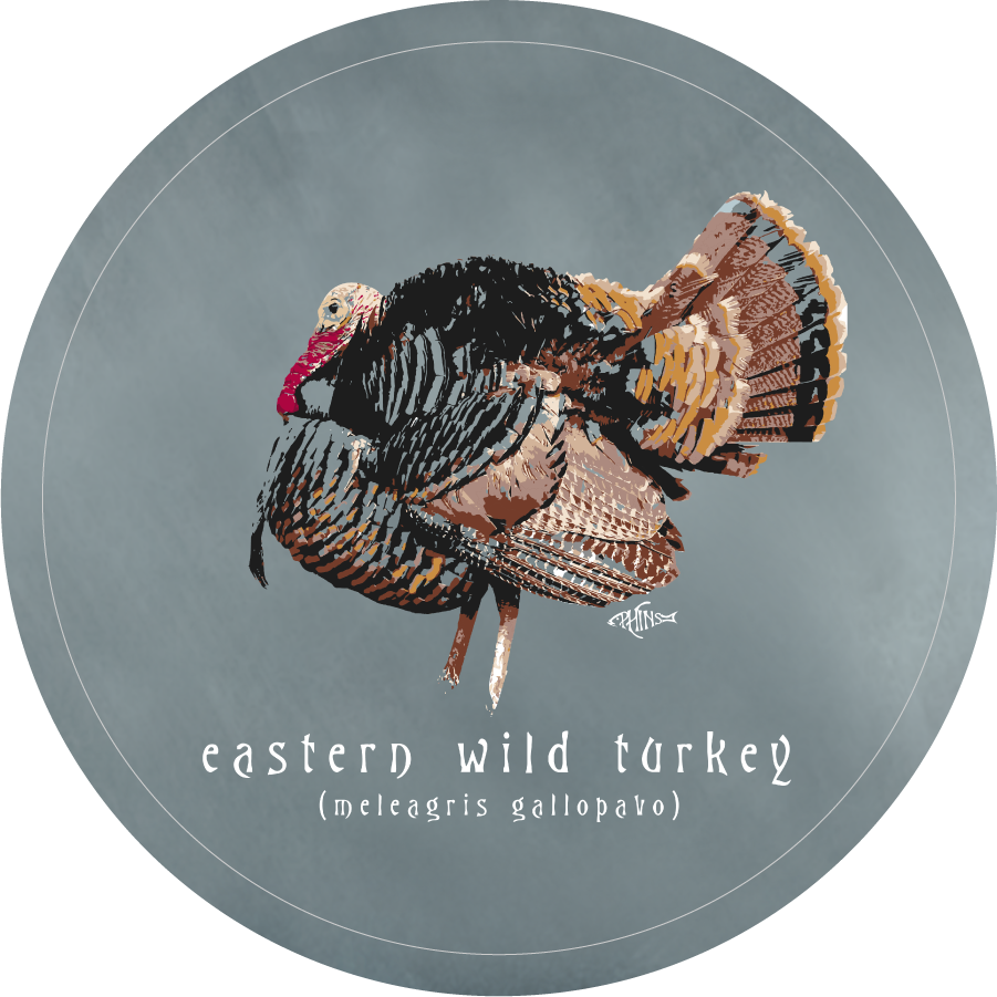 Wild Turkey, Sandstone Car Coaster