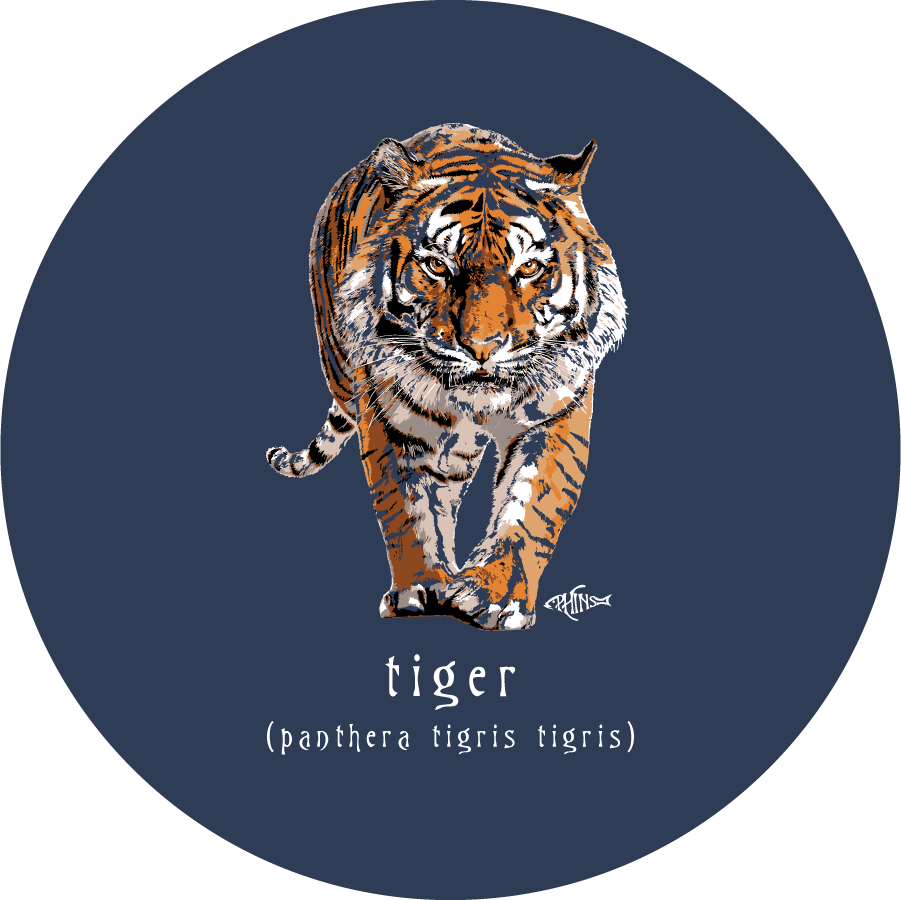 Tiger, Sandstone Car Coaster