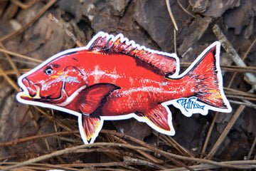 Red Snapper Sticker – Phins Apparel