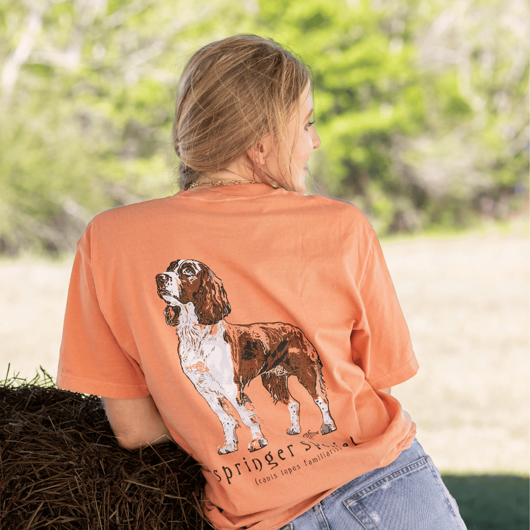 Springer Spaniel on Terracotta – Phins Apparel